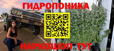 каннабис Новодвинск